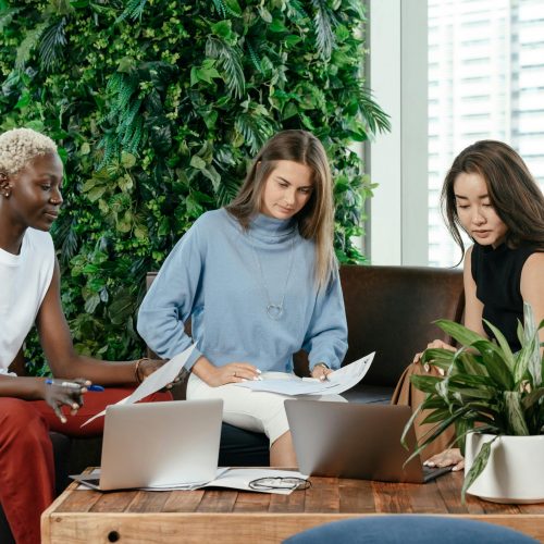 I Built FEHQ Because I Couldn’t Not.